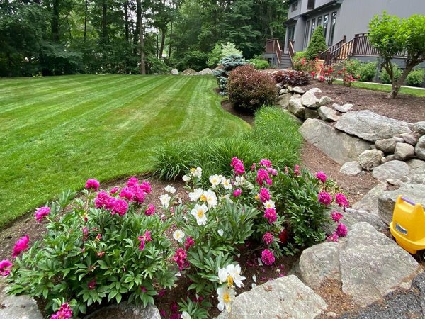 Natural-areas-with-plants-and-stone