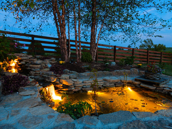 Koi-pond-in-natural-area-with-lights