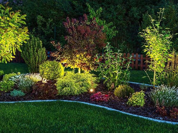 Backyard-landscaping-with-lights