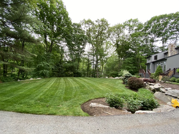 Lawn-with-landscaping