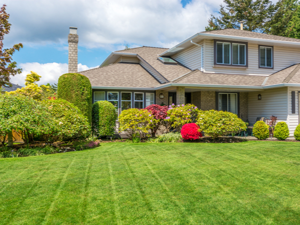 Front Yard Landscape Design