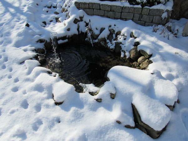 Koi-pond-during-the-winter