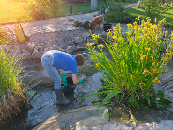 Woman-bending-over-to-clean-a-koi-pond-bottom